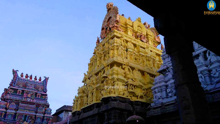 Triplicane Parthasarathy Temple