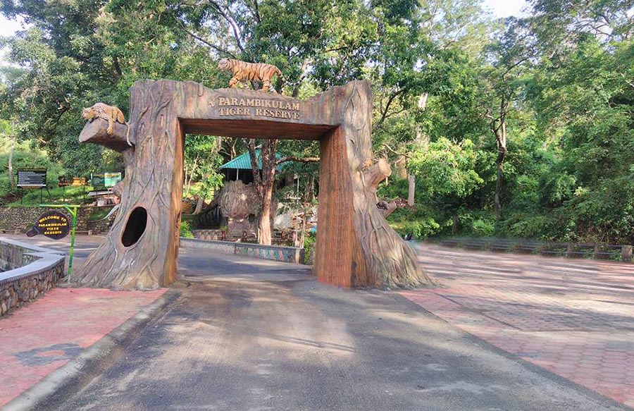 Parambikulam Wildlife Sanctuary Safari