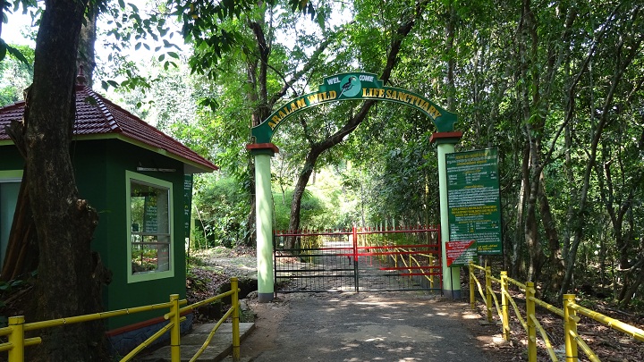 Aralam Wildlife Sanctuary Kerala
