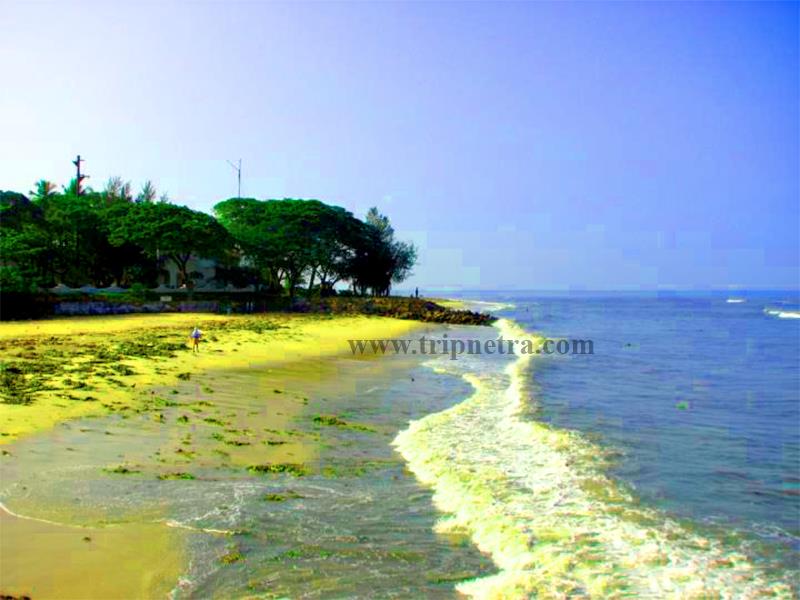 Best Beaches in Kochi