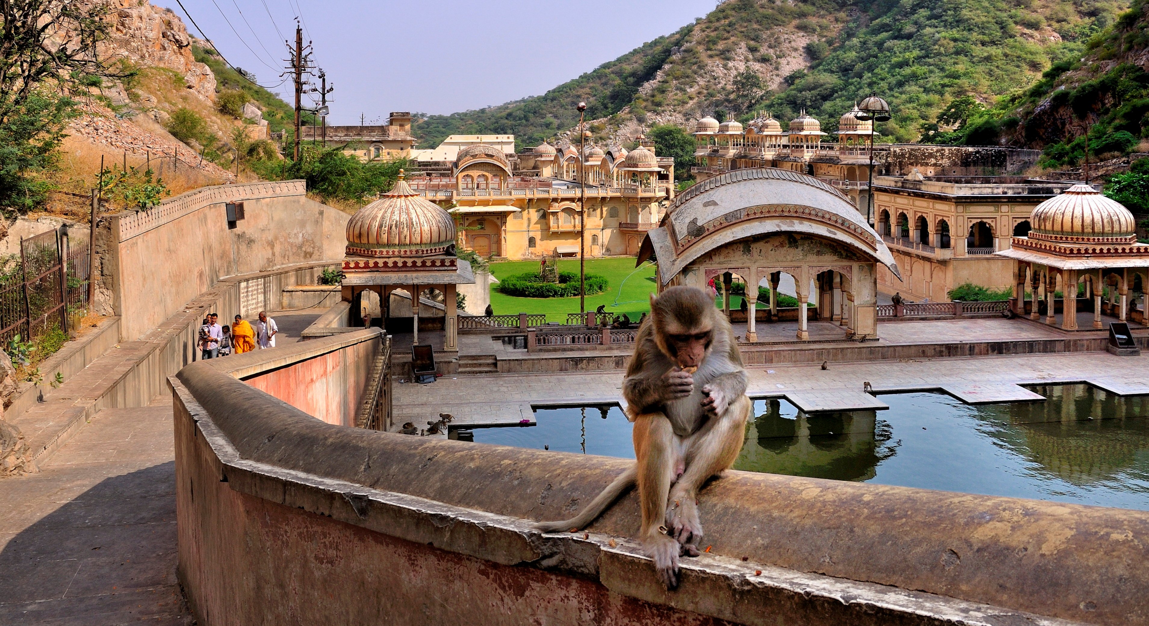 Galtaji Mandir Jaipur - History, Timings, Entry Fee, Darshan, Seva ...