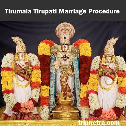 TTD Tirumala Marriage Booking Procedure