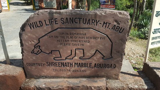 Mount Abu Wildlife Sanctuary Udaipur