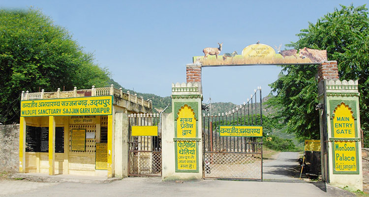 Sajjangarh Wildlife Sanctuary Udaipur - History, Timings, Entry Fee