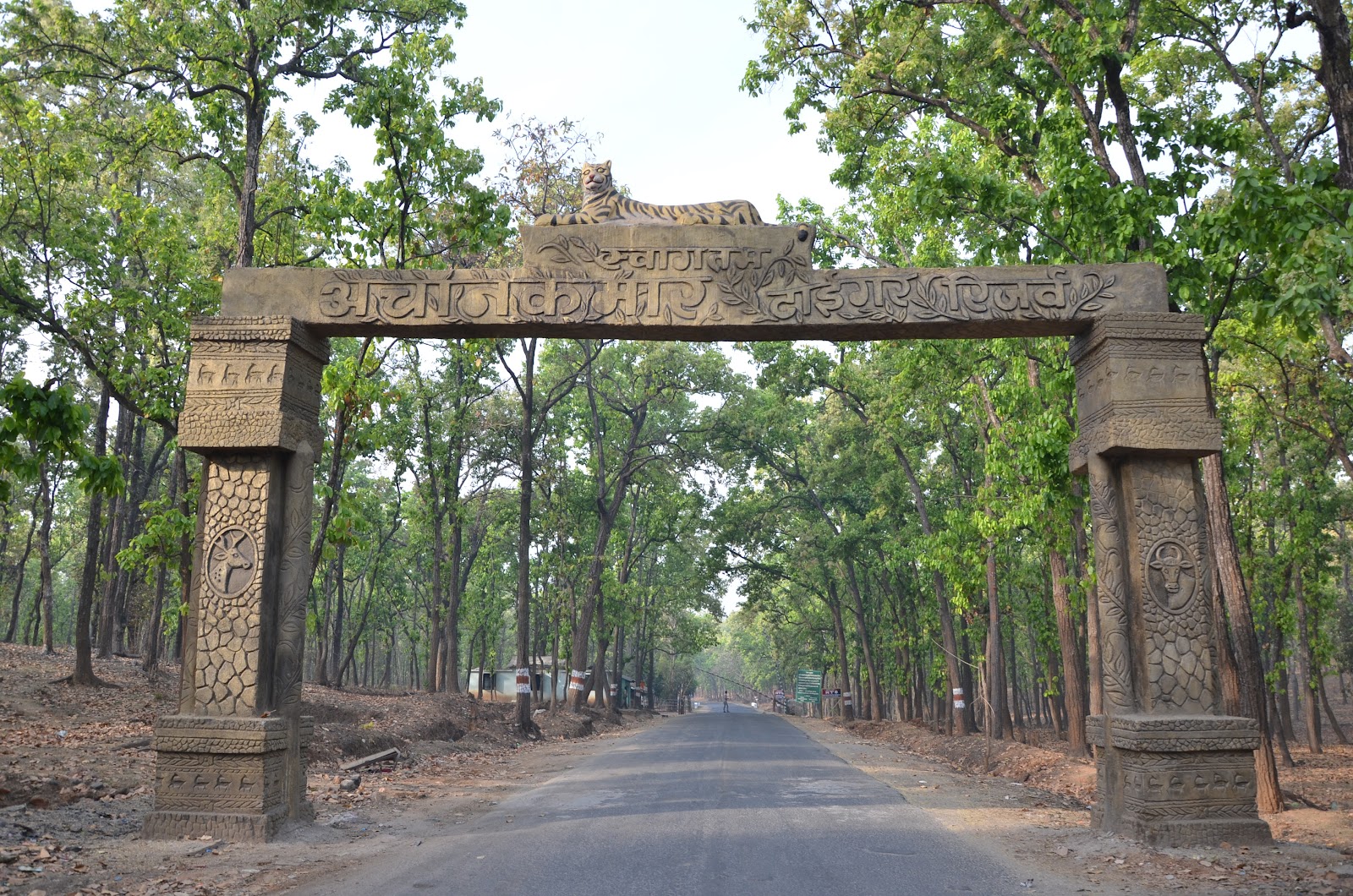 Achanakmar Wildlife Sanctuary Chhattisgarh