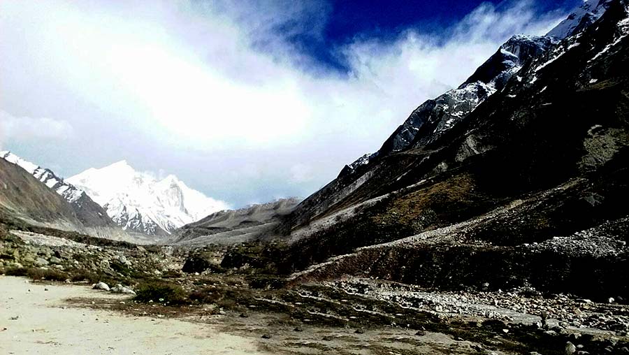 Gangotri national park Trekking