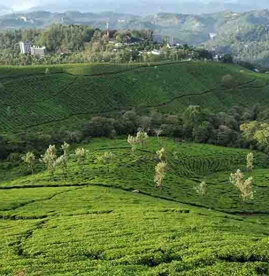 Munnar Echo Point - Entry fees, Timings, Ticket, Online Booking, Boating