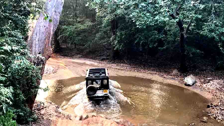 Sanjay Dubri Jeep Safari