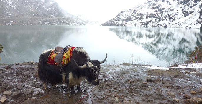 Top Things To Do In Sikkim
