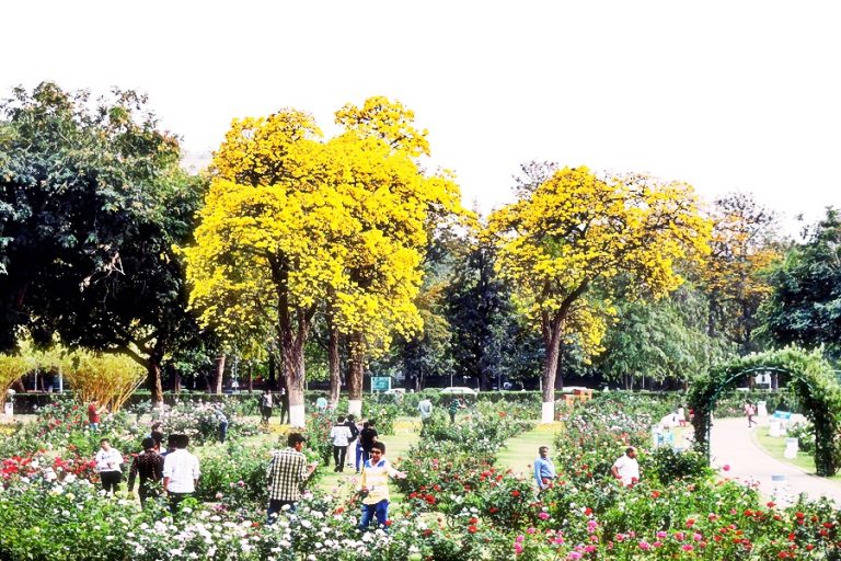 Rose Garden Chandigarh Timings, Festivals, Entry Fee, Photograpy