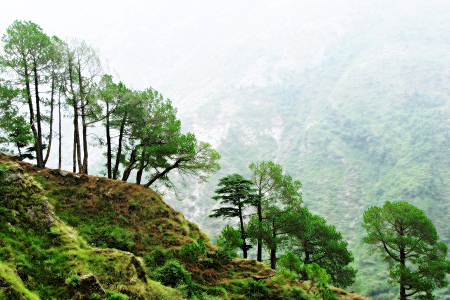 McLeodGanj Himachal Pradesh