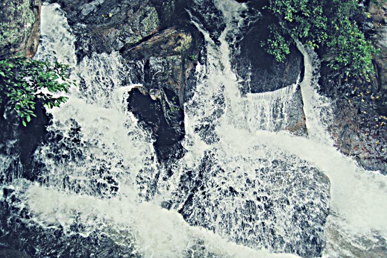 Monkey Falls in Coimbatore Places to visit near Monkey Falls