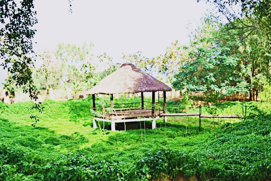 Yelagiri Nature Park