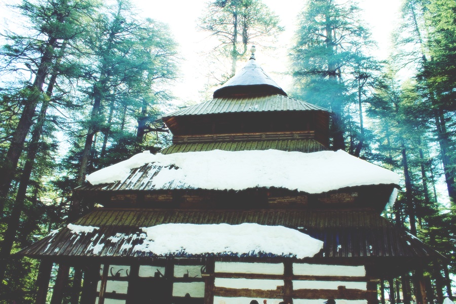 Hidimba Devi Temple Manali