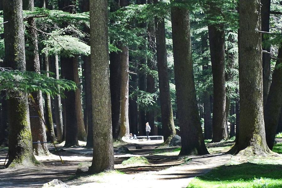 Nature Park in Manali