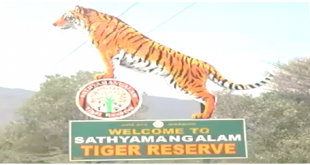 Sathyamangalam Wildlife Sanctuary Tiger Reserve