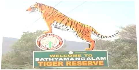 sathyamangalam tiger reserve