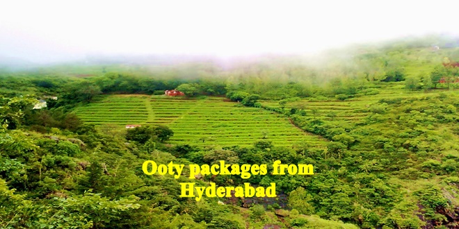 ooty trip budget from hyderabad