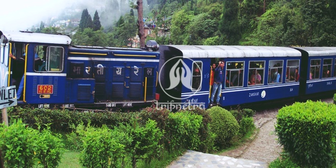 chennai to darjeeling tour package