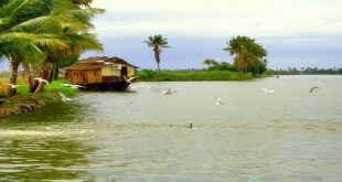 Kerala Tour Package from Ahmedabad