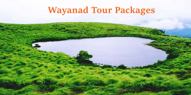 wayanad trip packages from bangalore