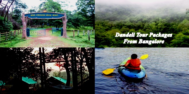 Dandeli Tour Packages from Bangalore | Bus, Train Trip