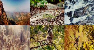 Chinnar Wildlife Sanctuary trekking