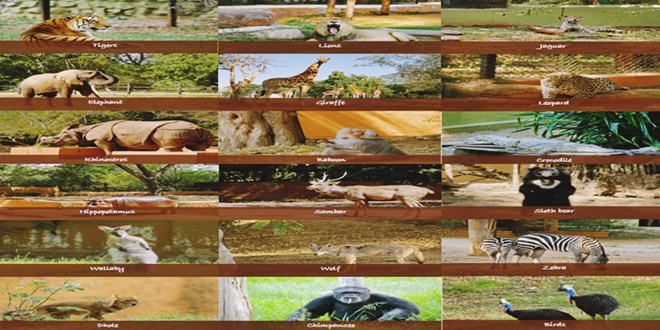 Sri Chamarajendra Zoological Gardens | Mysore Zoo