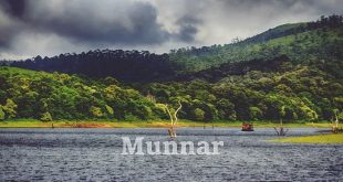 trivandrum to munnar tour packages