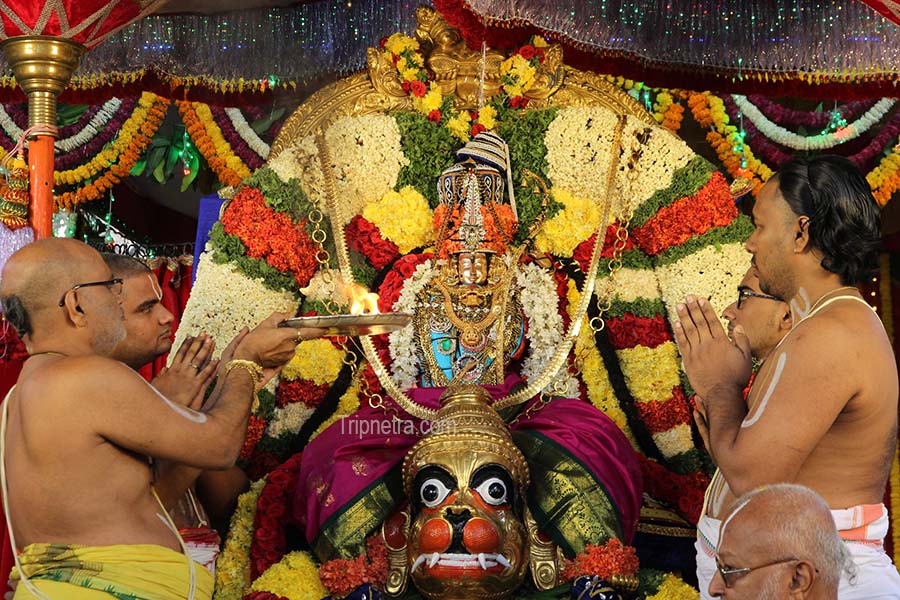 Tirumala darshan time today and Waiting Time Tomorrow VIP Pass Tirumala darshan time today and Waiting Time Tomorrow VIP Pass
