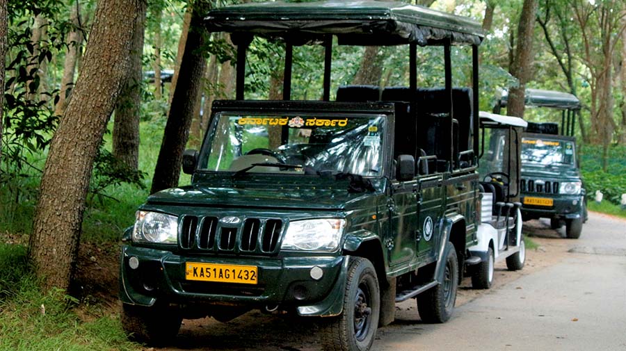 jeep safari in kabini